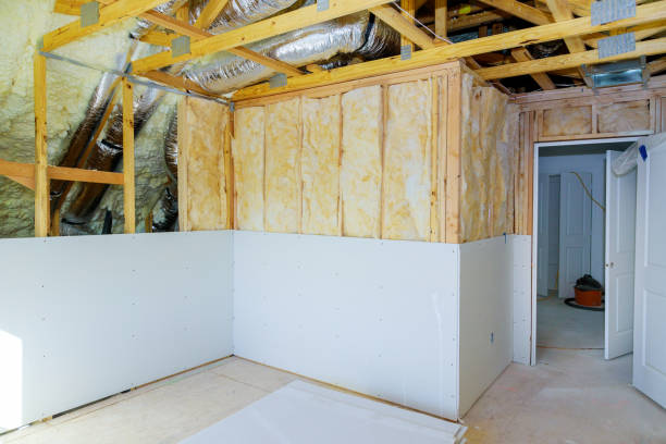 Best Eco-Friendly Insulation in Amite City, LA