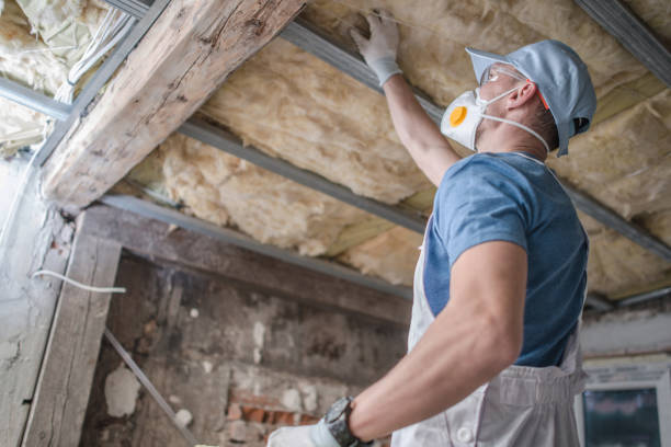 Best Geographic-Specific Insulation Services in Amite City, LA