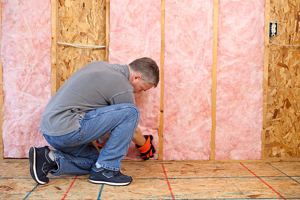 Best Blown-in Insulation in Amite City, LA